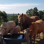 Paisible 3 Avec Cheminee Et Animaux Admis - Fr-1-496-221 Σπίτι διακοπών Regny